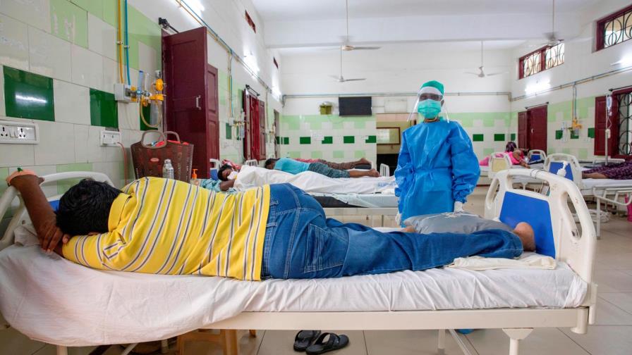 Los anticuerpos contra la covid duran al menos 8 meses en la mayoría de casos