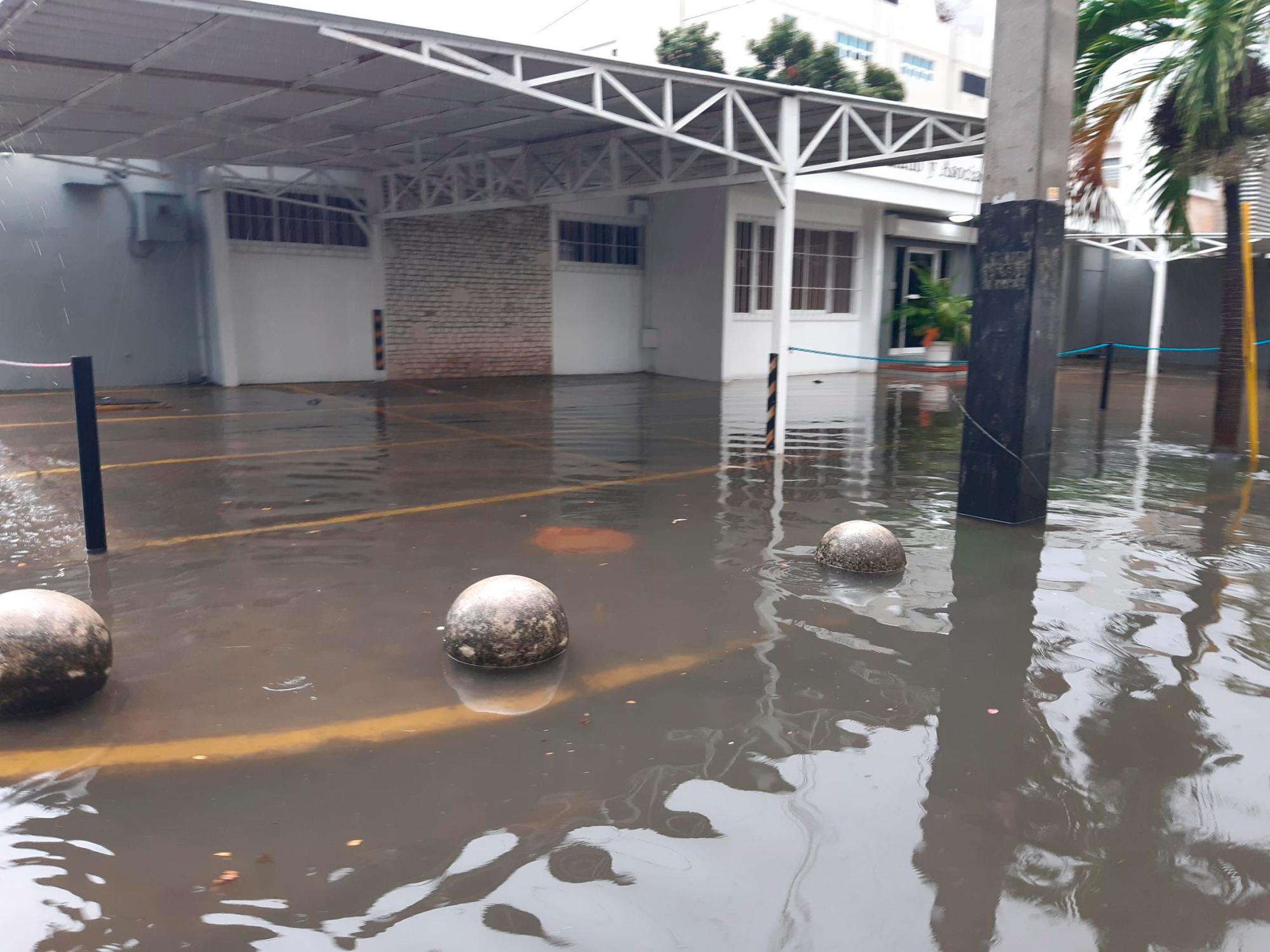 Calle Mustafá Kemal Ataturk, Naco.
