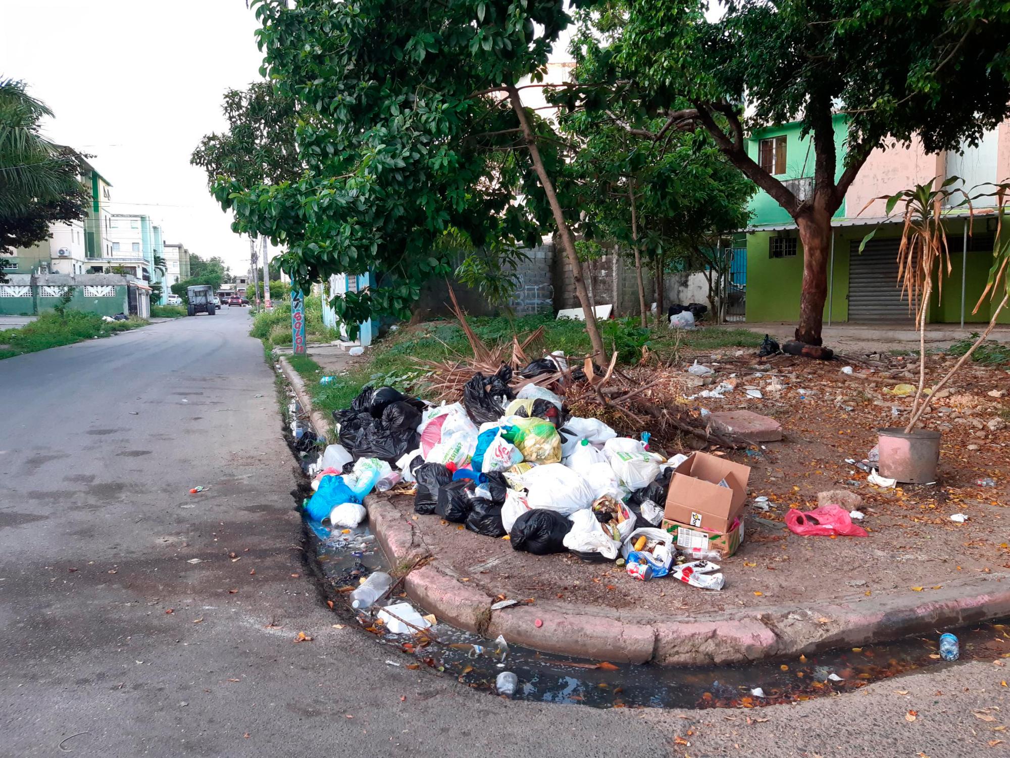 La gente se ve en la obligación de sacar la basura a la calle.