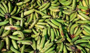 Comerciantes aseguran que los productos han aumentado sus precios.