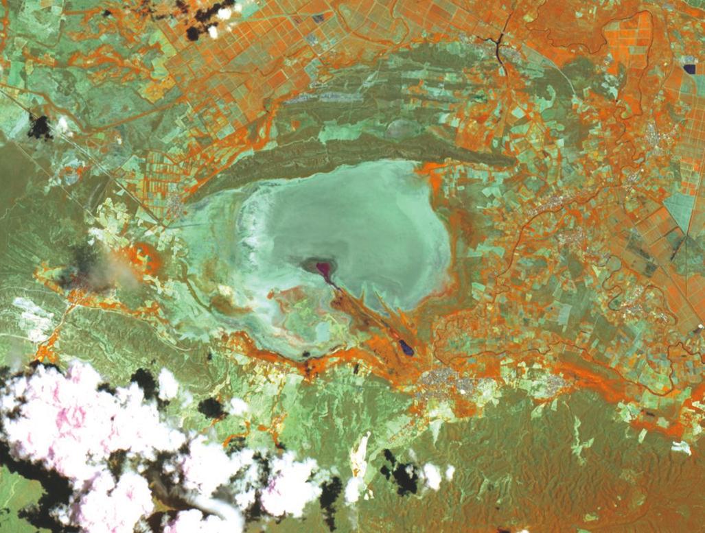 22 de julio de 2020.