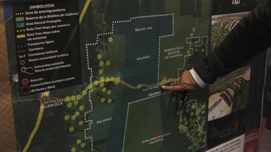 Oficina de ONU en México critica al gobierno por Tren Maya