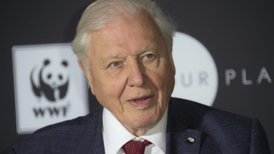 Attenborough hablará ante líderes en cumbre climática de ONU