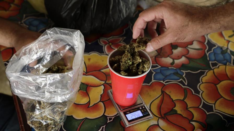 México: ¿Cómo va el proceso de legalización de la marihuana?