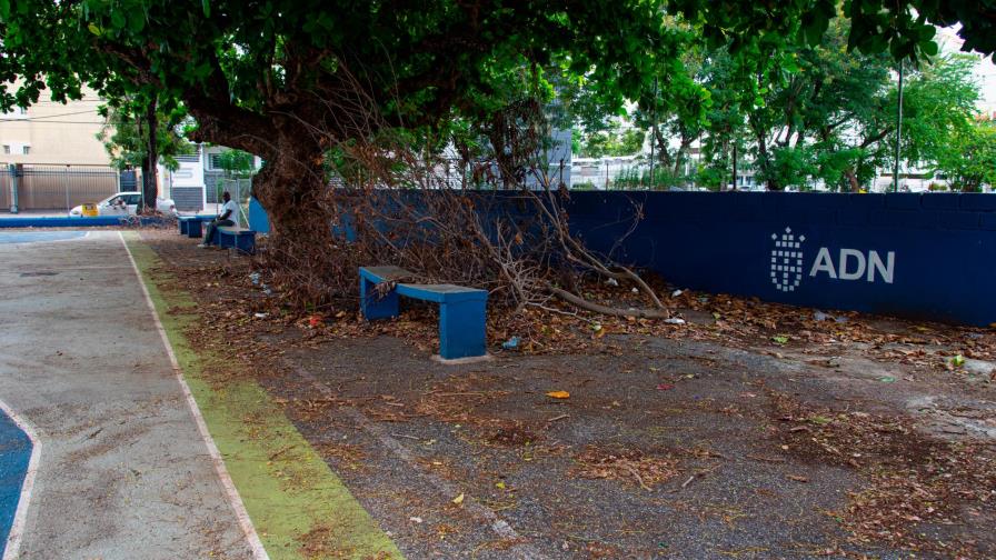 Vecinos del ensanche Evaristo Morales denuncian cancha está abandonada y es usada como motel