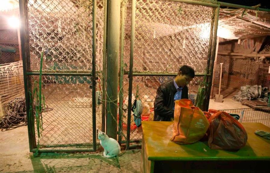 China cerrará gradualmente mercados donde se venden aves vivas para reducir riesgo a la salud