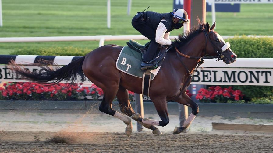 Tiz the Law, favorito para Triple Corona alterada