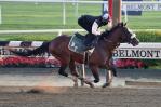 Belmont Park cancela carreras el viernes por mala calidad del aire Belmont Park cancela carreras el viernes por mala calidad del aire