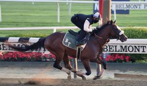 Belmont Park cancela carreras el viernes por mala calidad del aire