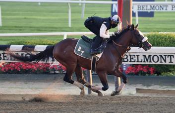 Belmont Park cancela carreras el viernes por mala calidad del aire