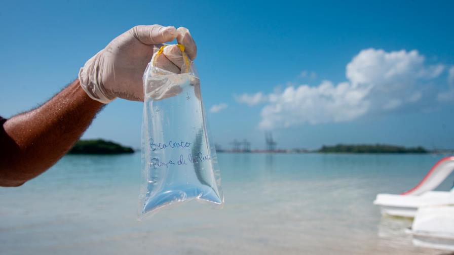 Playas de Boca Chica, Juan Dolio y Guayacanes están aptas para bañarse