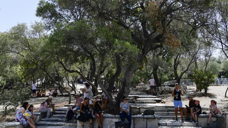 Grecia: cientos abandonan sus viviendas ante incendio
