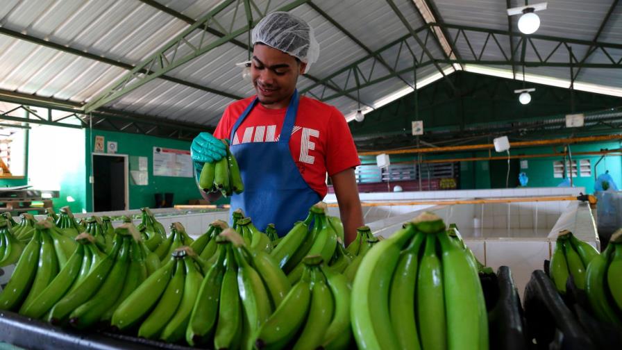 Instituciones deberán priorizar industria y agroindustria nacional en compras 