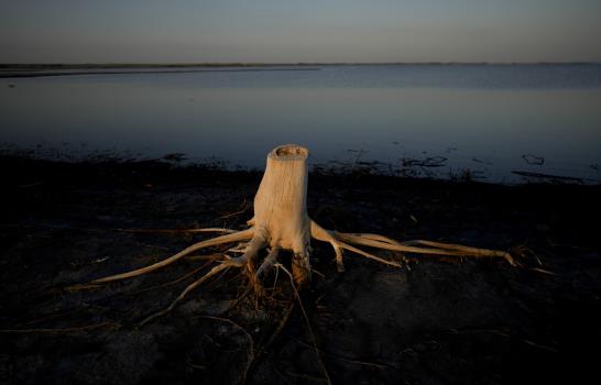 Las mejores fotos de la semana en América Latina