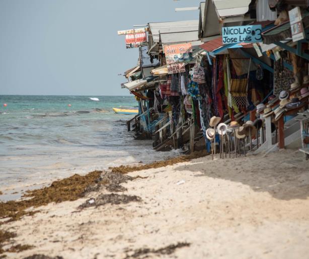 ¿República Dominicana está encaminada a reducir las emisiones de CO2?