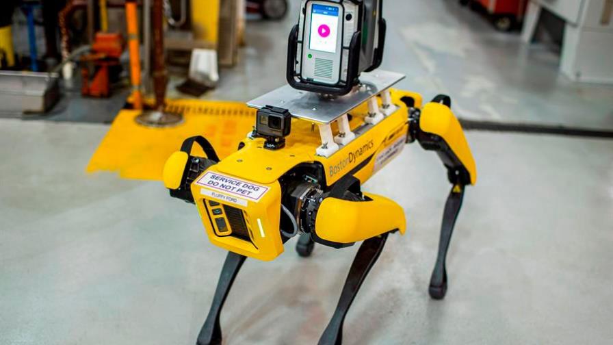 Ford utilizará perros robot para crear un modelo digital de sus plantas