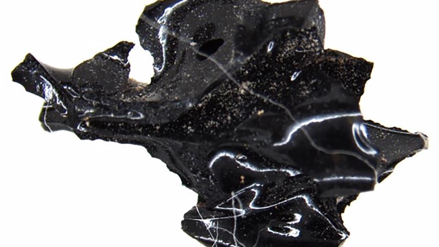 Erupción vitrificó cerebro de víctima en Herculano