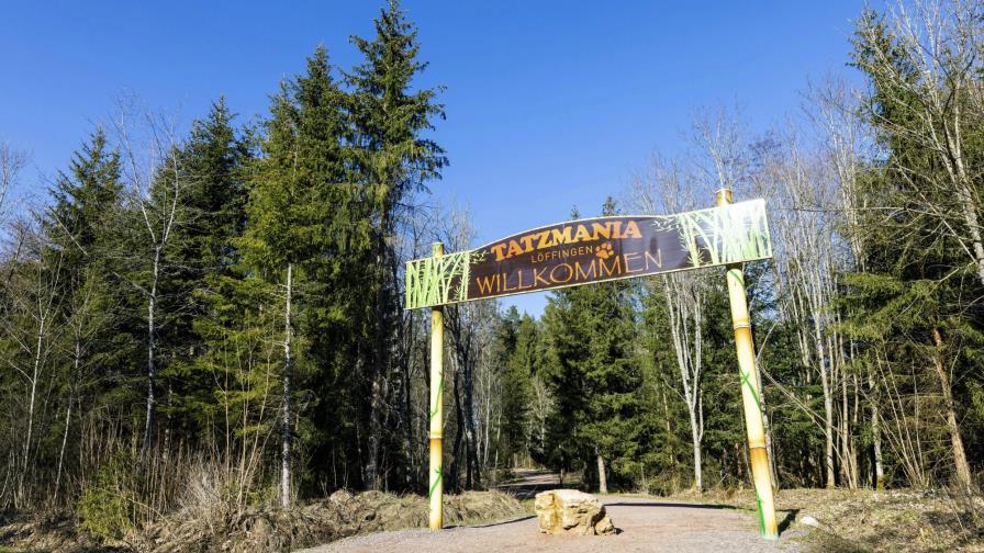 Veintena de monos se fugan de zoológico en sur de Alemania