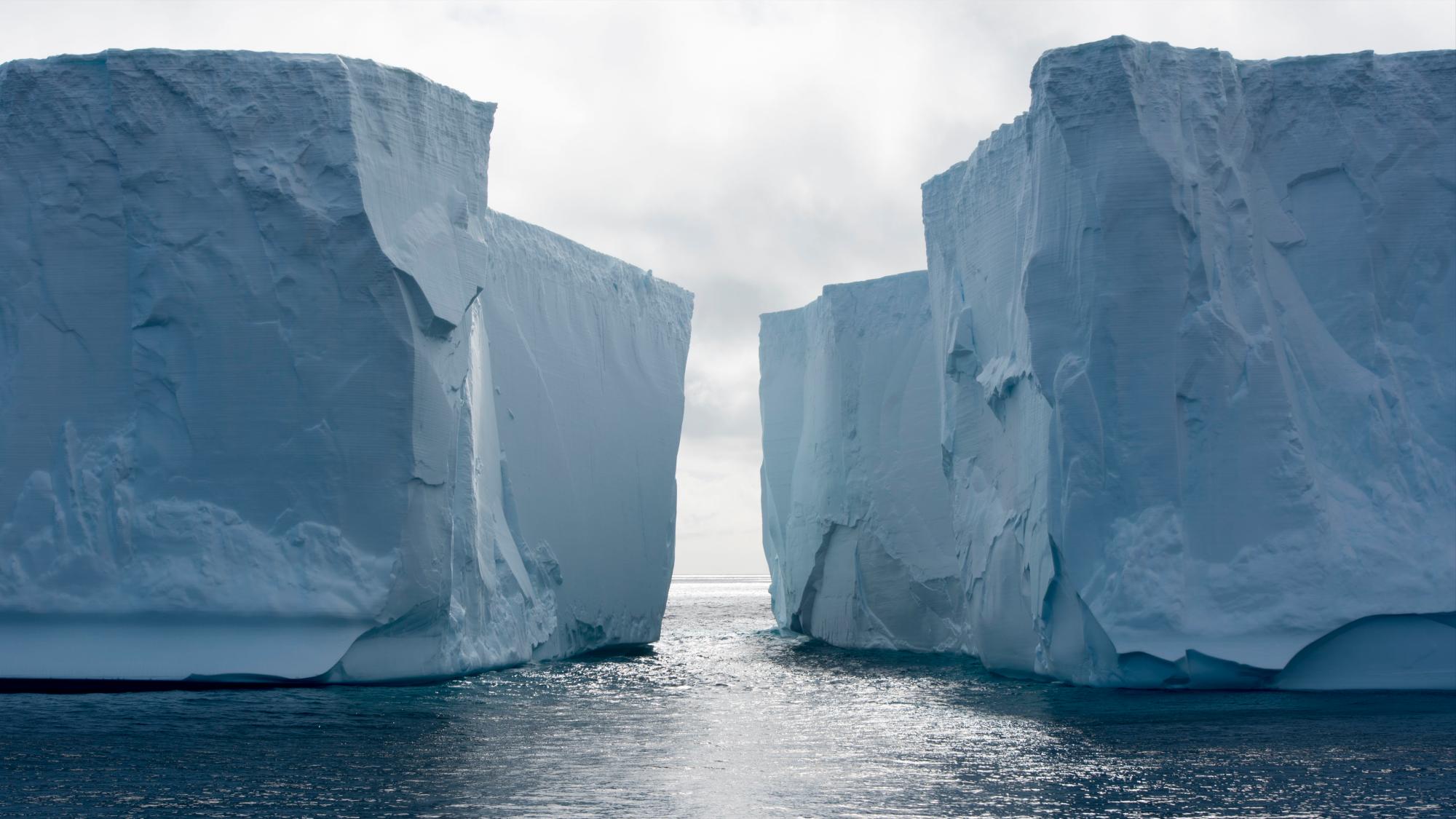Pingüinos y glaciares, víctimas del cambio climático en la Antártida
Pingüinos de Adelia cerca de la isla Paulet, en la Antártida. 
Pingüino de la isla Paulet, en la Antártida.