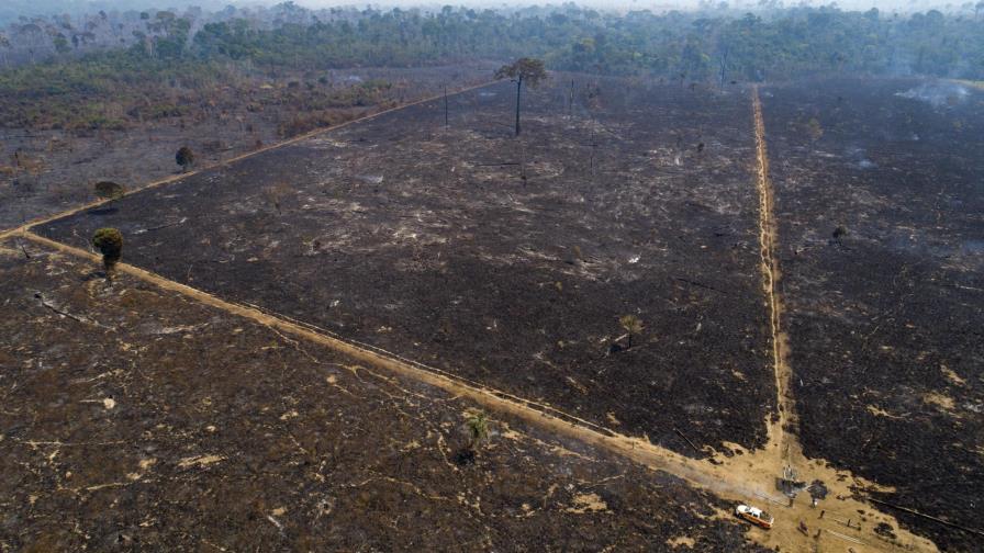 Brasil: Siguen incendios en Amazonia en 2020 pese a promesas Brasil: Siguen incendios en Amazonia en 2020 pese a promesas