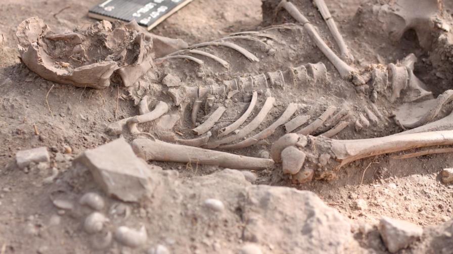 Legados indígenas del Caribe en riesgo de perderse