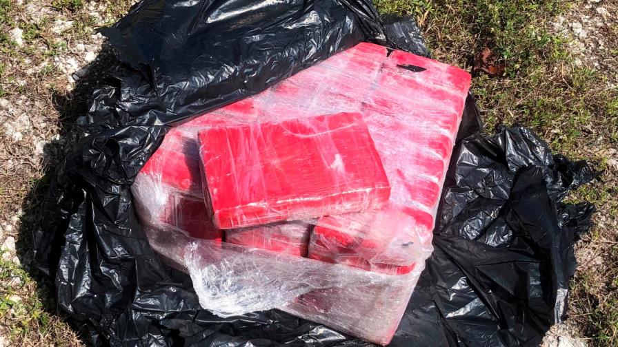 Buzo encuentra en Cayos de Florida una bolsa flotando con fardos de cocaína