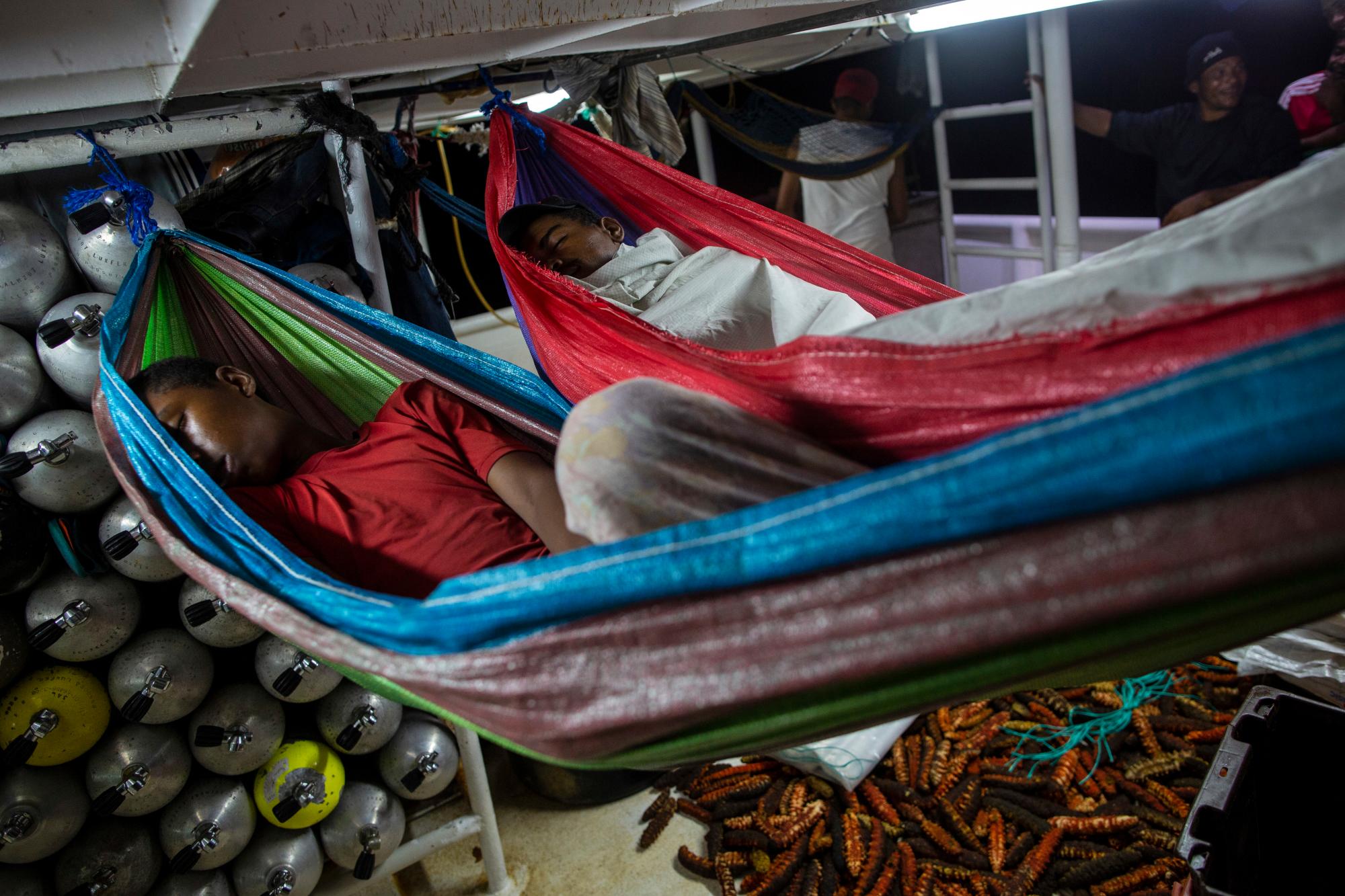 Los buceadores miskitos duermen en hamacas en su última noche de un viaje de pesca de 13 días, rodeados de tanques de oxígeno vacíos, a la izquierda, y su captura de pepinos de mar, en la esquina inferior derecha, mientras son transportados desde Cay Savannah a Kaukira, Honduras.