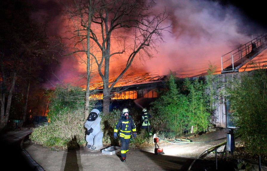 Farolillos voladores, causa del fuego en zoológico alemán con 30 animales muertos