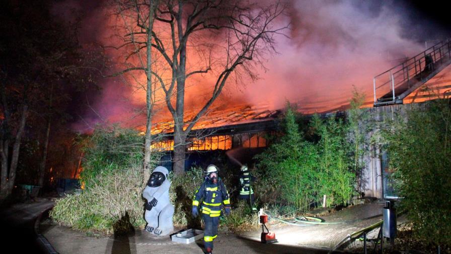 Farolillos voladores, causa del fuego en zoológico alemán con 30 animales muertos