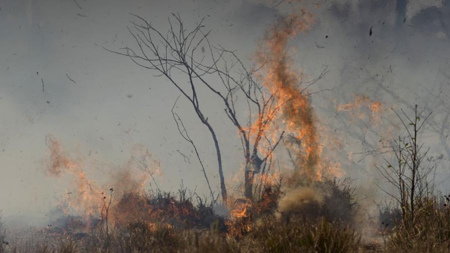 Brasil: Incendios en Amazonía disminuyen; suben en otro lado