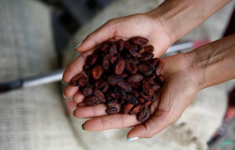 Joven encamina hacia la paz a pueblo colombiano con cambio de coca por cacao