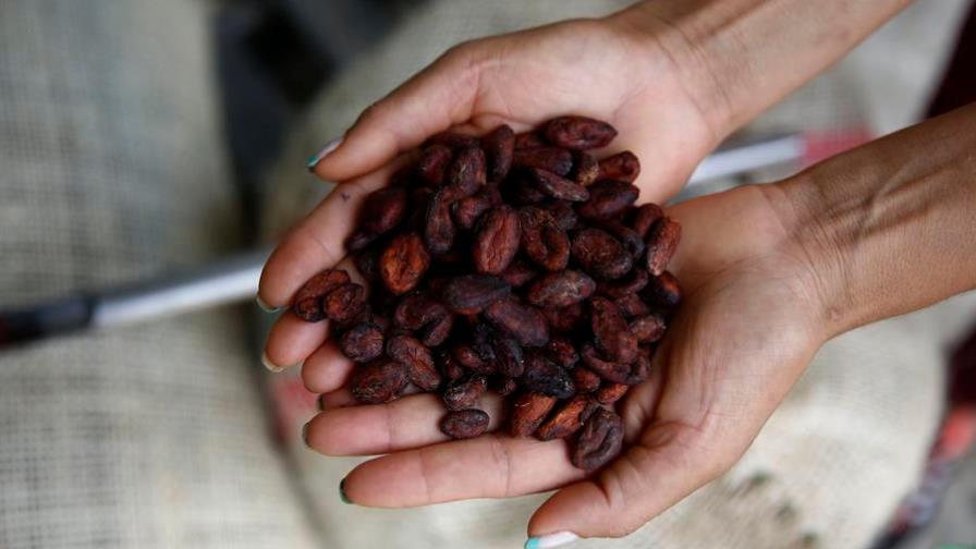 Joven encamina hacia la paz a pueblo colombiano con cambio de coca por cacao
