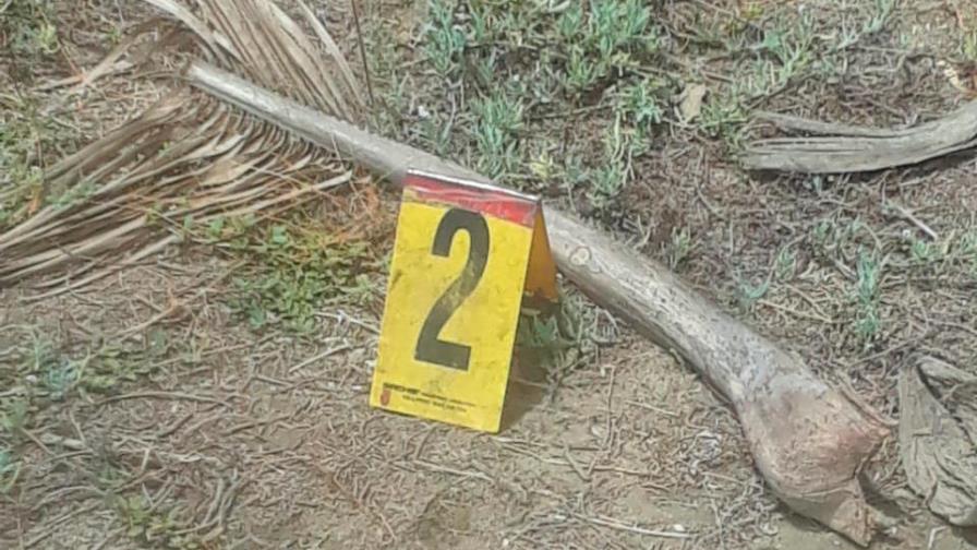 Muere niño tras recibir supuesta pela con un tallo de una palma de coco 