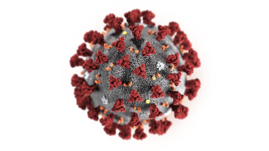 EEUU reporta primer caso de coronavirus de persona a persona