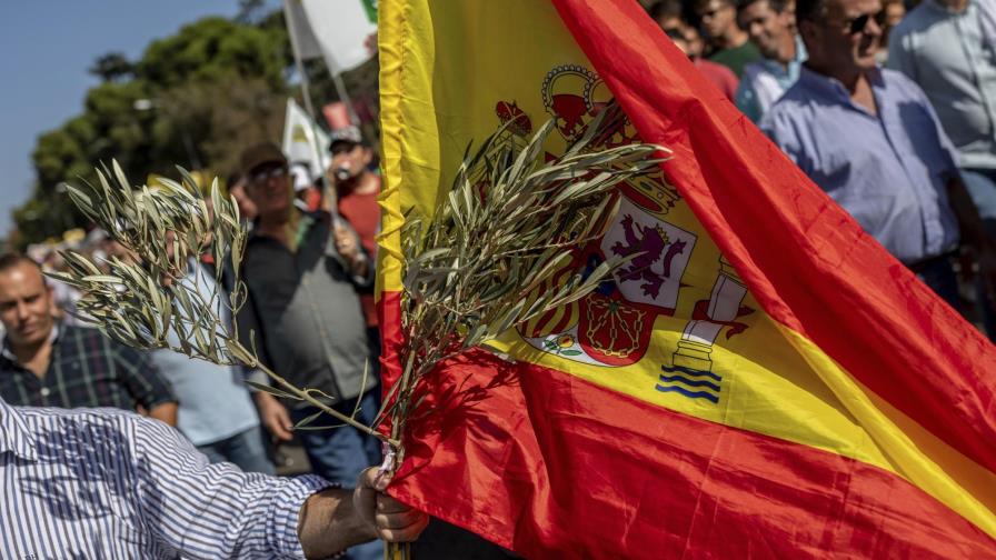 España: Agricultores protestan ante bajo precio de aceitunas