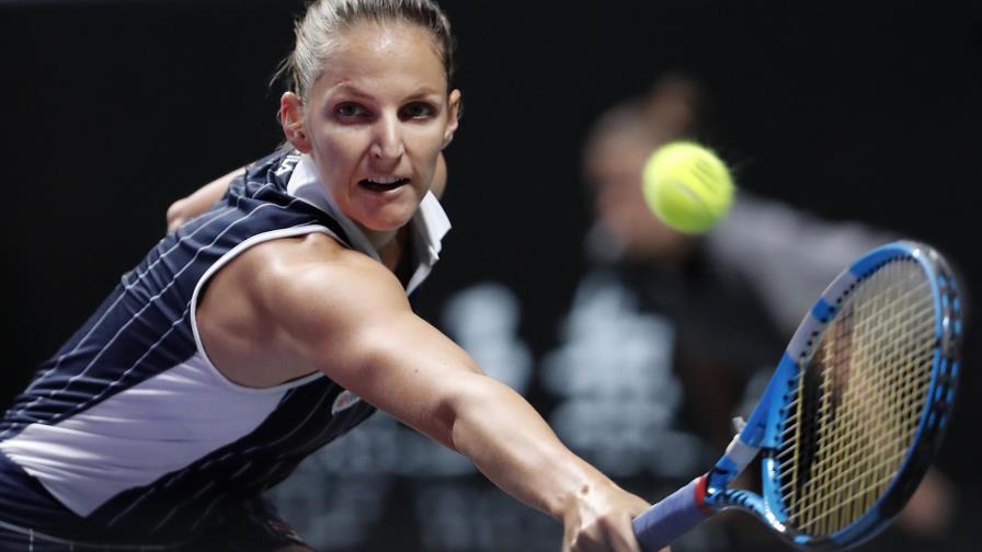 Pliskova contrata a venezolano Vallverdú como entrenador