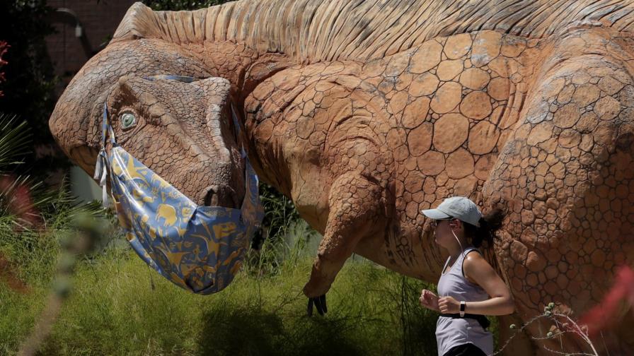 Texas permitirá algunos espectadores en eventos deportivos Texas permitirá algunos espectadores en eventos deportivos