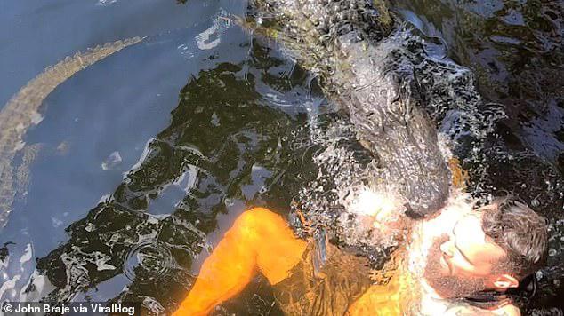 Hombre decide tomar un baño con un caimán y termina mordido por el depredador
