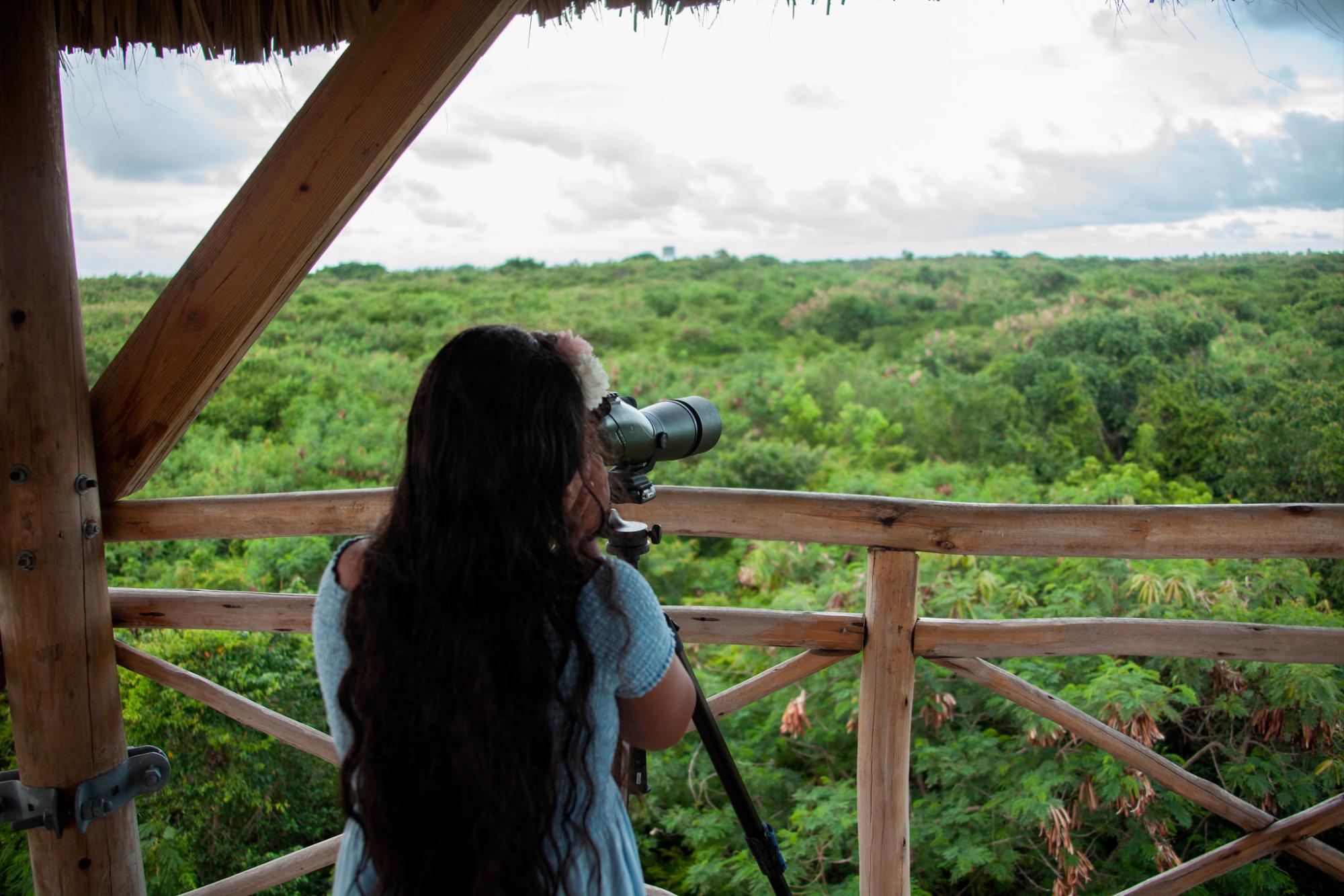 Una niña observa un gavilán de La Hispaniola, en el programa de reintroducción en Punta Cana de esta ave endémica en peligro de extinción.