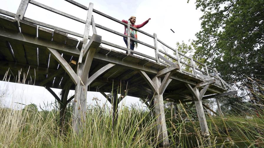 Puente de Winnie Pooh será subastado