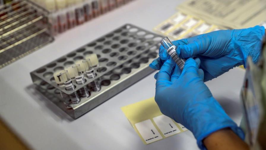 La COVID-19 no ha mutado en diferentes tipos de virus, según un nuevo estudio