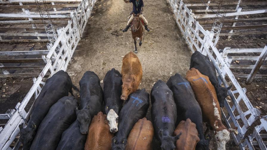 Argentina: campo en huelga por suba de impuesto a la soja Argentina: campo en huelga por suba de impuesto a la soja