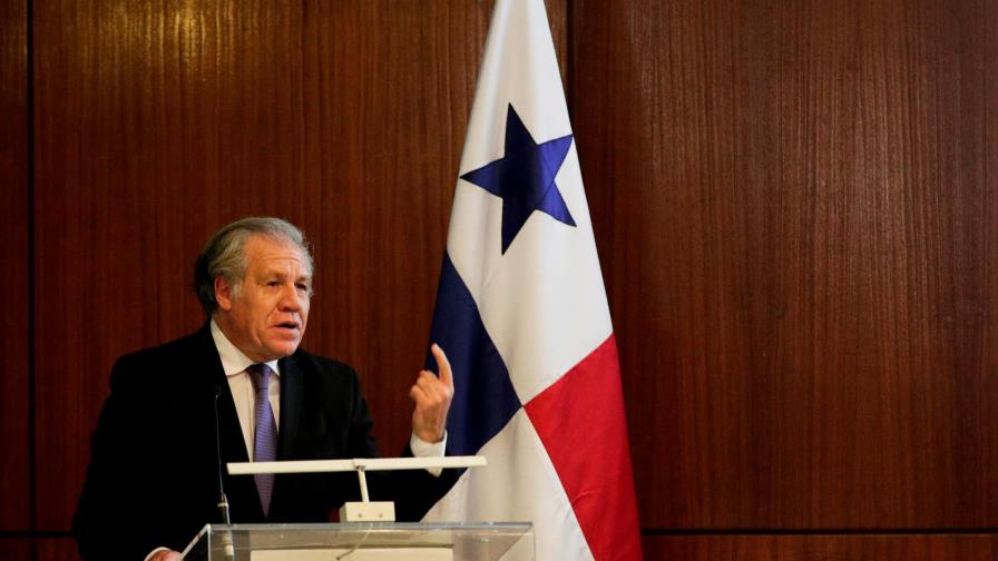 Almagro: mayor problema para democracia son los ‘burros’ que gobiernan Almagro: mayor problema para democracia son los ‘burros’ que gobiernan