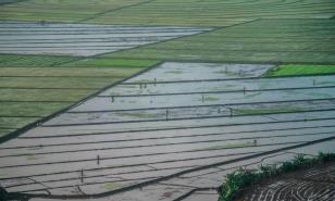 La huella que deja el agua en la producción va en aumento