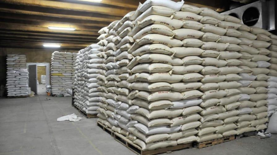 Inician entrega semillas a productores habichuelas de San Juan