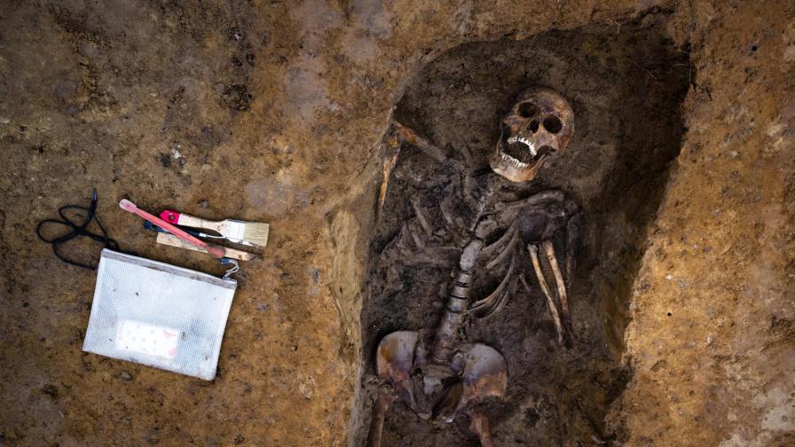 Buscan a soldados desaparecidos en la Guerra Mundial
