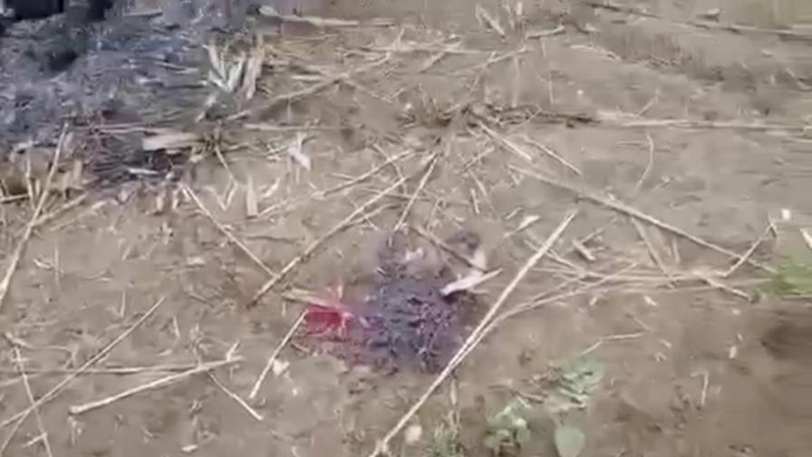 Reportes: Tropas de Myanmar queman vivas a 11 personas