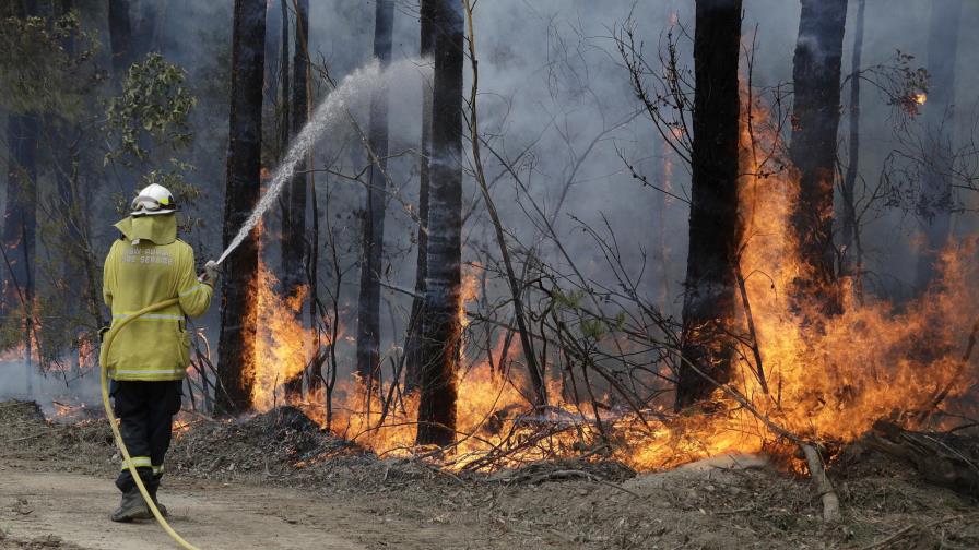 72.000 bomberos voluntarios combaten las llamas en Australia