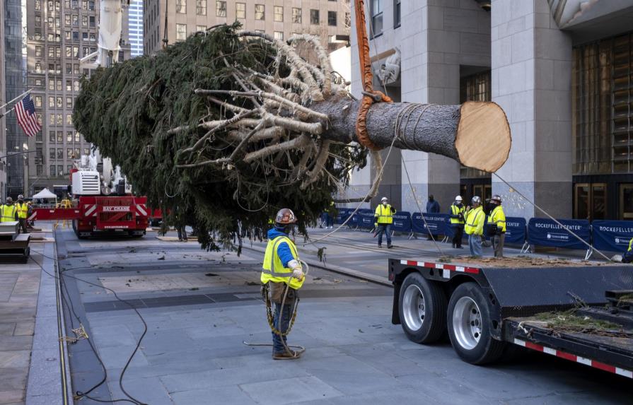 Llega el árbol de Navidad del Rockefeller Center
