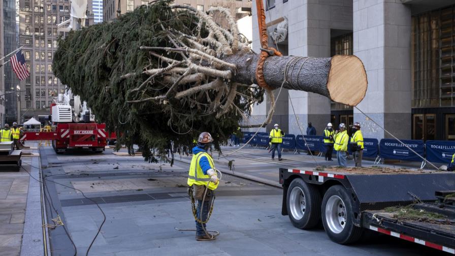 Llega el árbol de Navidad del Rockefeller Center
